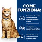 Hill's Prescription Diet Cat c/d Multicare Urinary Care con Salmone 85 gr
