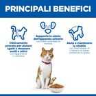 Hill's Science Plan Cat Adult Sterilised Salmone 300 gr