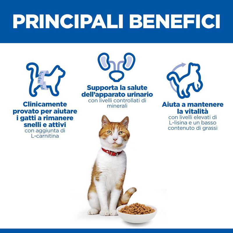 Hill's Science Plan Cat Adult Sterilised Salmone 300 gr