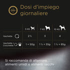 Cesar Dog Adult con Agnello Carote e Coriandolo in Gelatina 150 gr