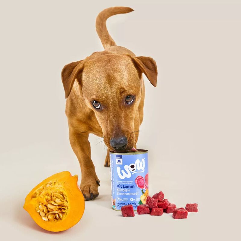Wow Dog Adult Agnello con Zucca e Ortica 400 gr