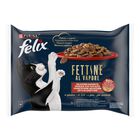 Felix Cat Adult Fettine al vapore Manzo e Pollo 4 pz x 80 gr