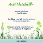 Almo Nature Anti Hairball Cat Adult con Pollo 70 gr