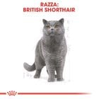 Royal Canin Cat Adult British Shorthair 2 kg
