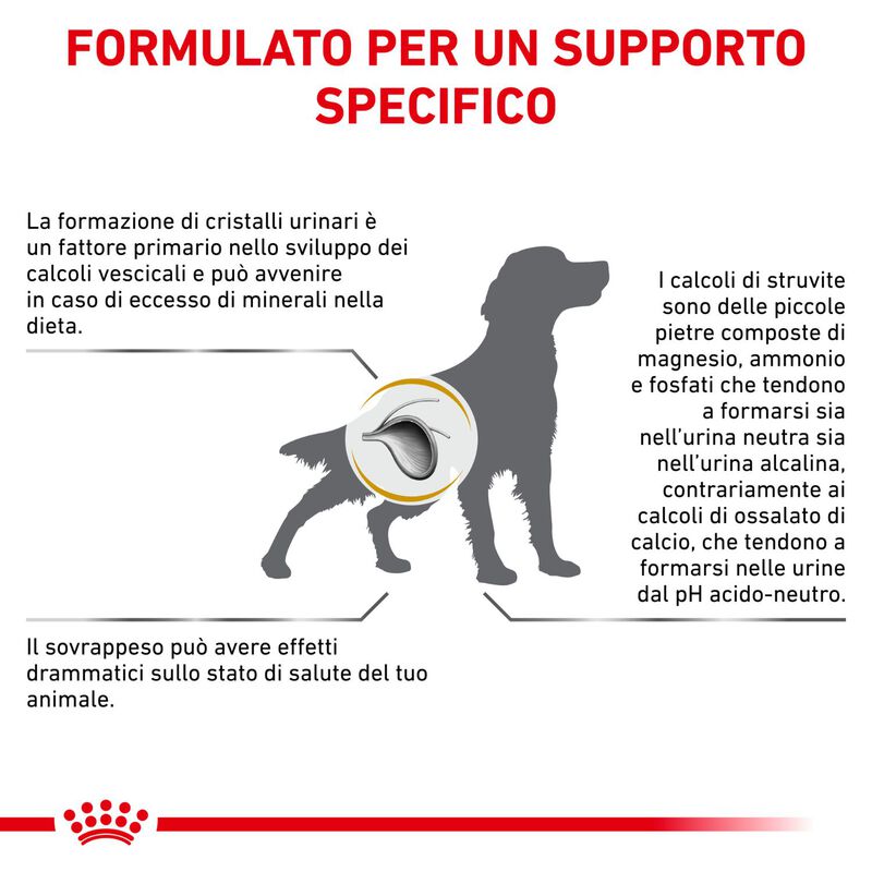 Royal Canin Veterinary Diet Dog Urinary S/O Moderate Calorie 1,5 kg