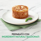 Gourmet Nature's Creation Fiocchi di Tonnetto in gel&eacute;e con Pesce bianco 70gr