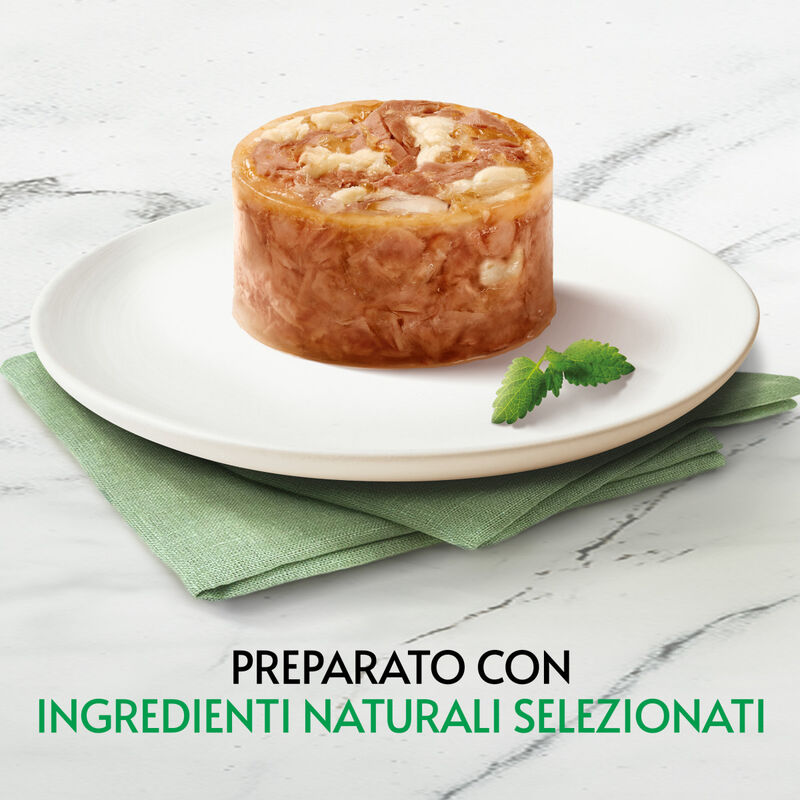 Gourmet Nature's Creation Fiocchi di Tonnetto in gel&eacute;e con Pesce bianco 70gr
