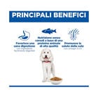 Hill's Science Plan Dog Adult Hypoallergenic Monoprotein Salmone 363gr