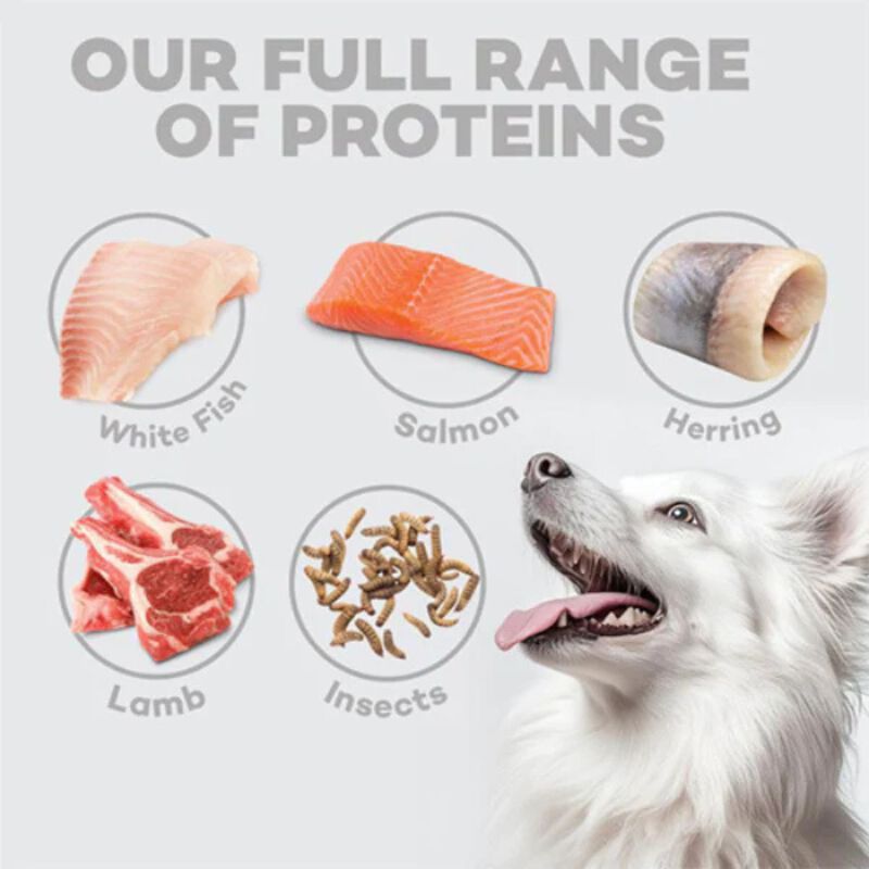 Nature's Protection Dog White Small Grain Free al Pesce 4 kg