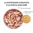 Schesir Cat Tonnetto in jelly 85 gr