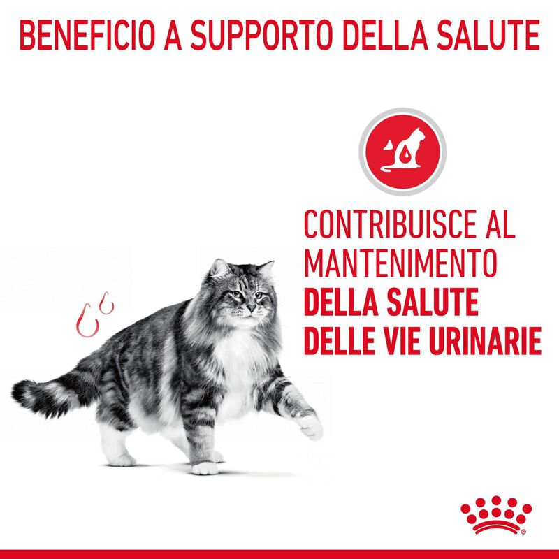 Royal Canin Cat Adult Urinary Care 400 gr