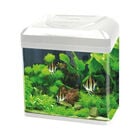 Blu Bios Acquario Billy 30 lt bianco