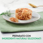 Gourmet Nature's Creations Fiocchi di Tonnetto in Gel&egrave;e con Gamberetti 70gr