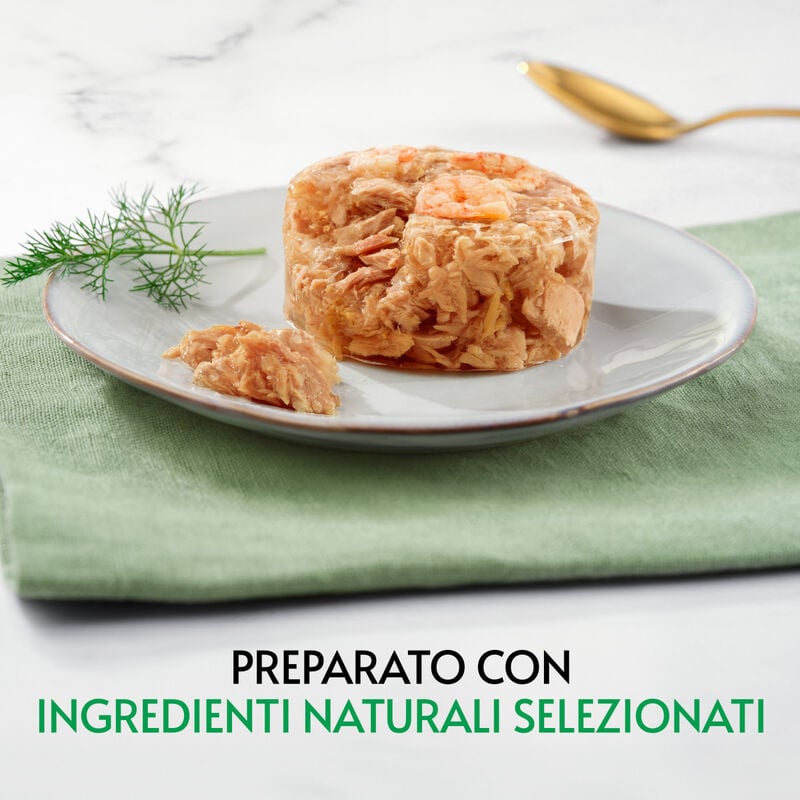 Gourmet Nature's Creations Fiocchi di Tonnetto in Gel&egrave;e con Gamberetti 70gr