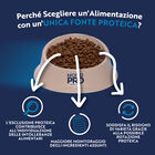 Monopro Dog Adult Mini Grain Free Agnello 2 kg