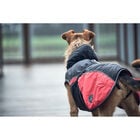 Hunter Impermeabile per cani Uppsala Cozy nero e rosso tg. 30
