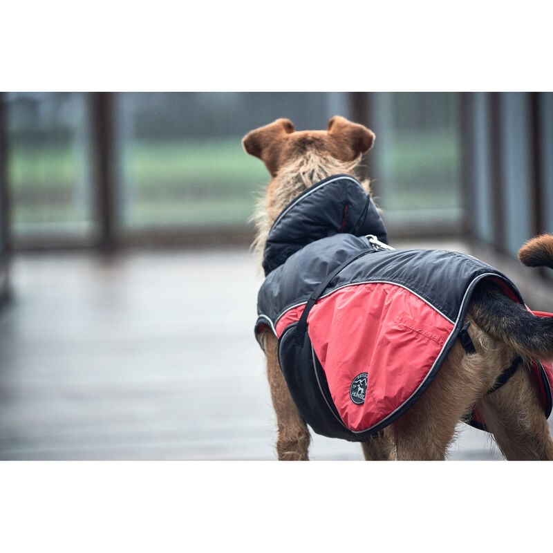 Hunter Impermeabile per cani Uppsala Cozy nero e rosso tg. 30