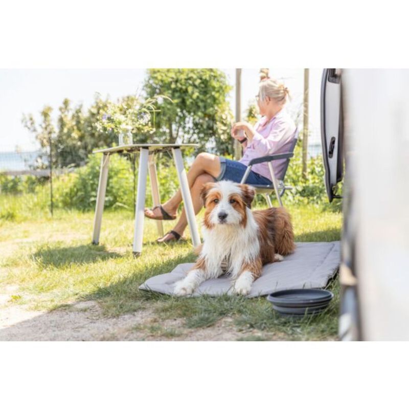 Trixie Ciotola da Viaggio per Cani 500 ml