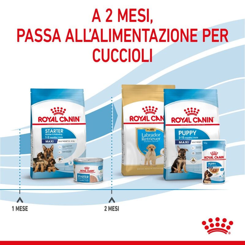 Royal Canin&nbsp;Maxi Starter Mother&Babydog 4 Kg