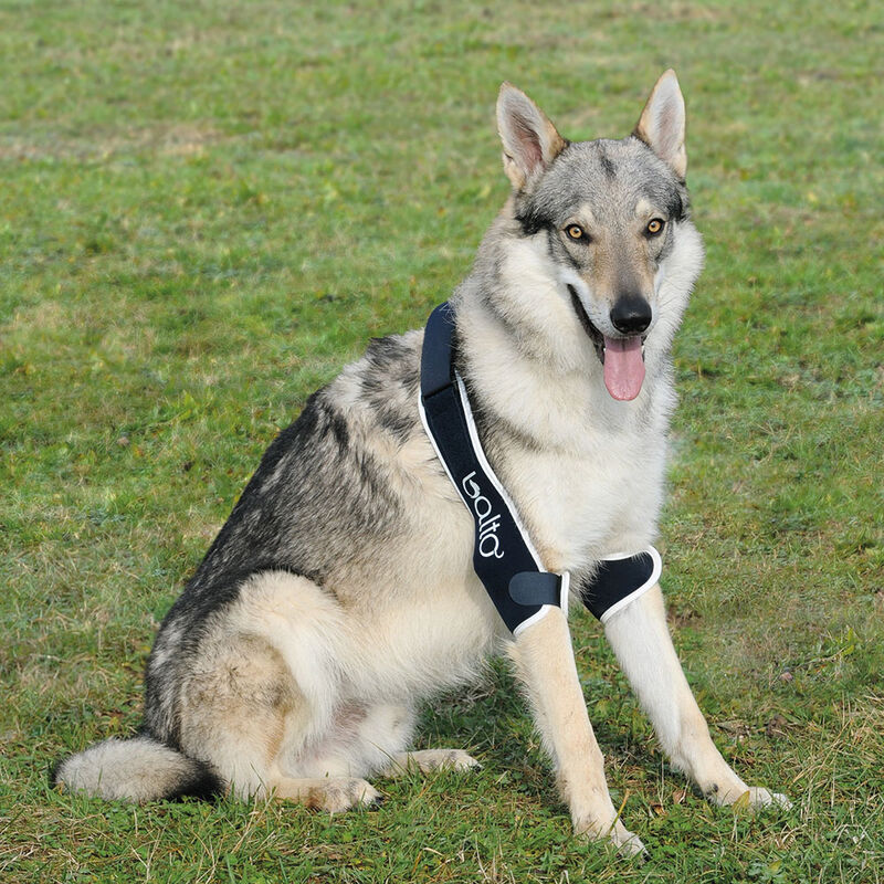 Balto Soft Plus Tutore gomito L