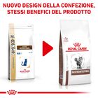 Royal Canin Veterinary Diet Cat Gastrointestinal 2 kg