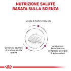 Royal Canin Veterinary Diet Dog Early Renal 14 kg