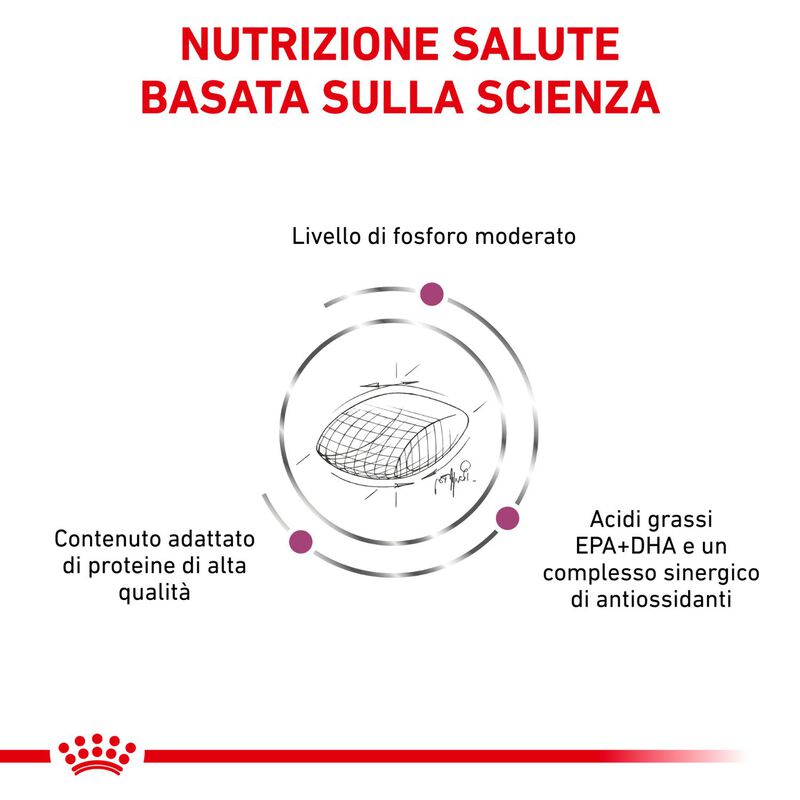 Royal Canin Veterinary Diet Dog Early Renal 14 kg