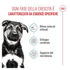 Royal Canin Puppy Maxi 3kg