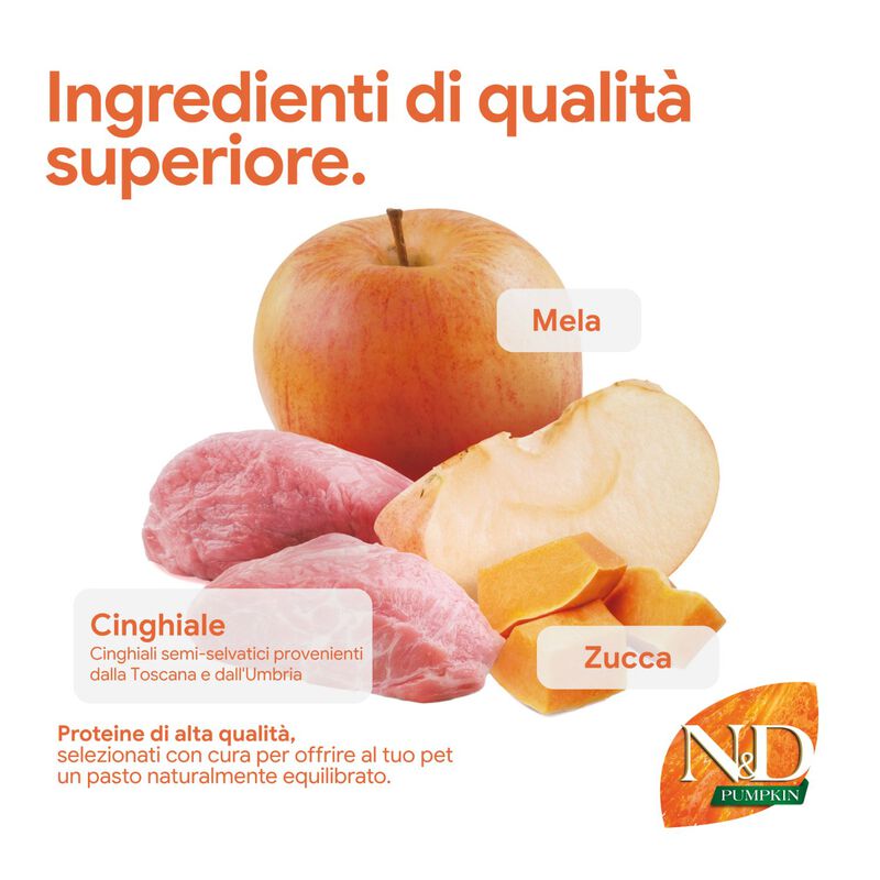 N&D Farmina Pumpkin Dog Adult Mini Cinghiale e Mela 7 kg