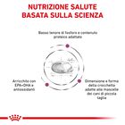 Royal Canin Veterinary Diet Dog Small Renal 1,5 kg