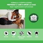 Frontline Combo Spot-On puppy monodose 1 pipetta