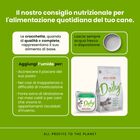 Almo Nature Daily Dog Adult Agnello 300g 