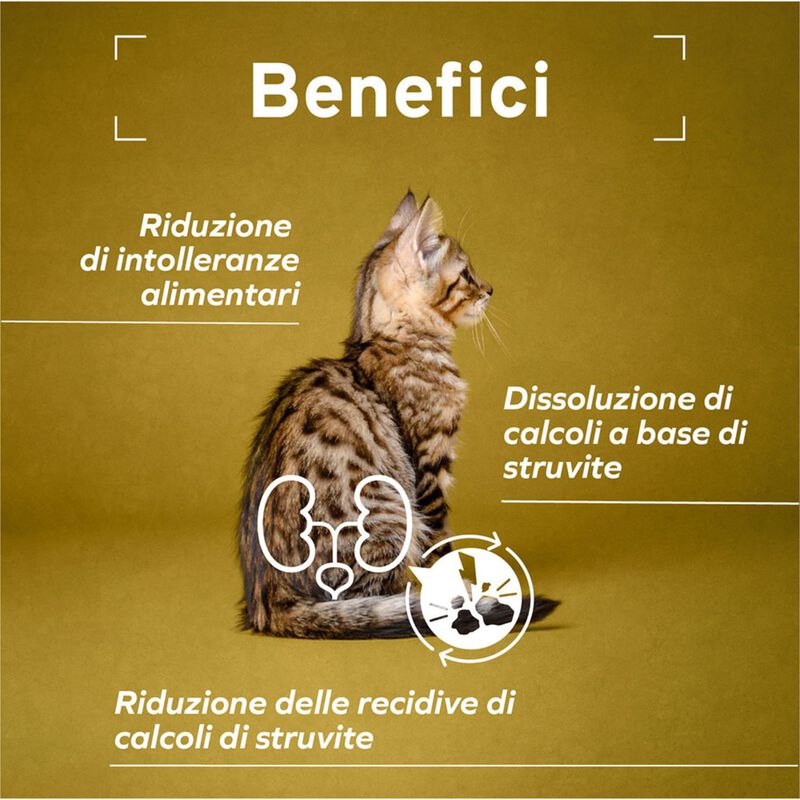 Forza 10 Active Vet Diet Urinary per gatti adulti al Pesce 1,5 kg