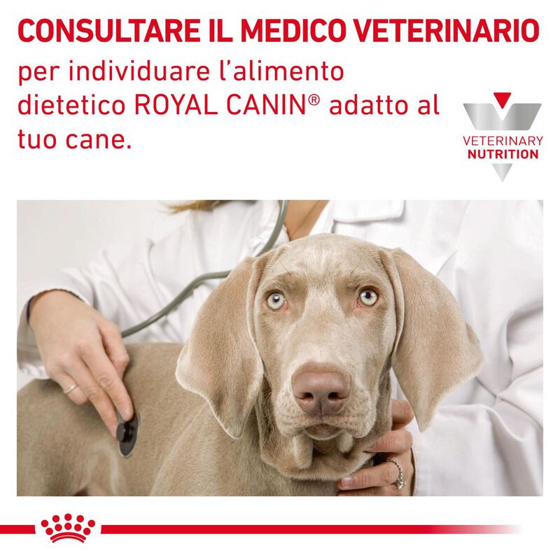 Royal Canin Veterinary Diet Dog Adult Gastrointestinal Moderate Calorie 15 kg