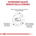 Royal Canin Veterinary Diet Dog Renal Special 2kg