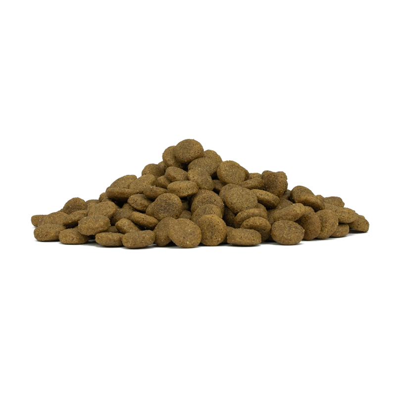 Forza 10 Dog Adult Medium Maintenance  Agnello 12kg