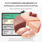 Schesir After Dark Cat Adult Filetti in brodo Pollo 80 gr