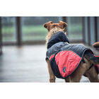 Hunter Impermeabile per cani Uppsala Cozy nero e rosso tg. 40