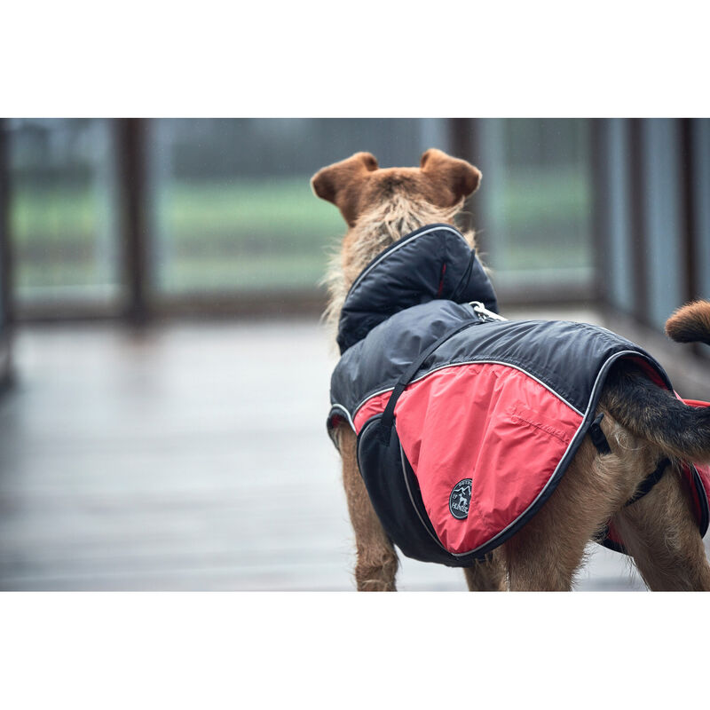 Hunter Impermeabile per cani Uppsala Cozy nero e rosso tg. 40