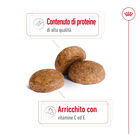 Royal Canin Dog Adult +7 anni Medium 15 kg