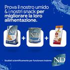 N&D Farmina Ocean Dog Adult Medium & Maxi Merluzzo, Zucca & Arancia 12 kg