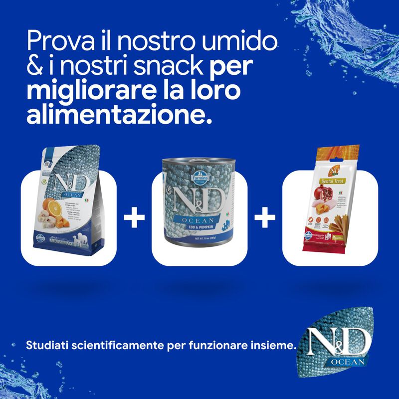 N&D Farmina Ocean Dog Adult Medium & Maxi Merluzzo, Zucca & Arancia 12 kg