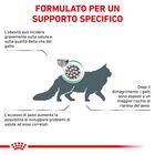 Royal Canin Veterinary Diet Cat Satiety Weight Management 1,5 kg