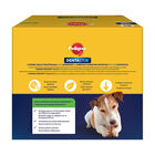 Pedigree Dentastix Dog Small Multipack x70pz