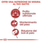 Royal Canin Cat Adult Fit 32 10 kg
