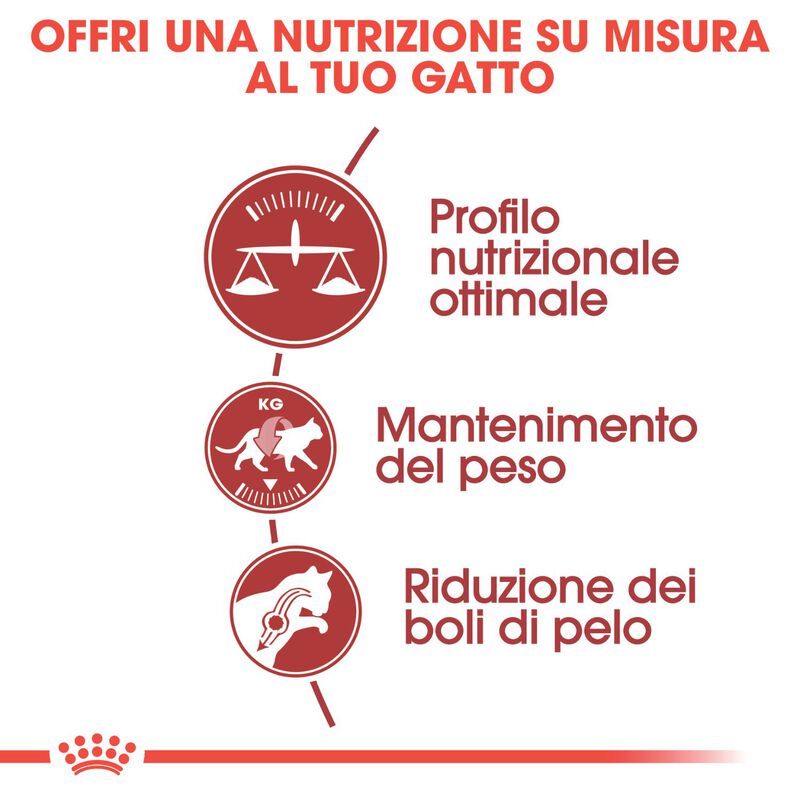 Royal Canin Cat Adult Fit 32 10 kg