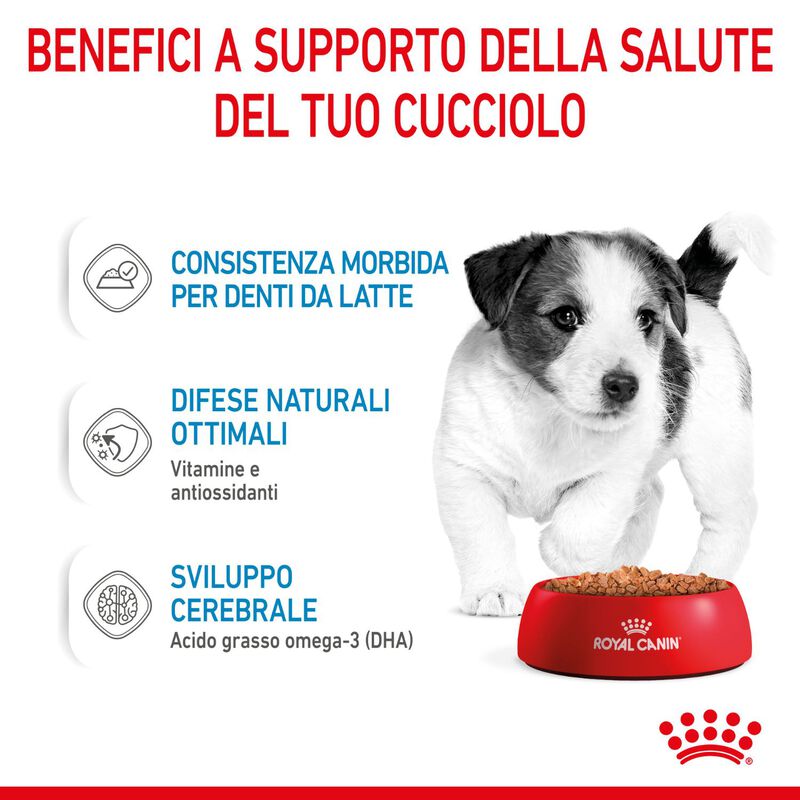 Royal Canin Dog Mini Puppy 85 gr