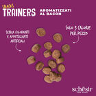 Schesir Dog Adult Snacks Trainers al Bacon 283 gr