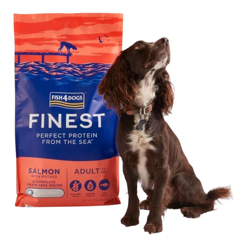 Fish4dogs Finest Dog Adult Large Salmone 12 kg