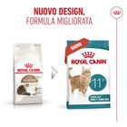 Royal Canin Cat Senior Ageing +11 anni 400 gr